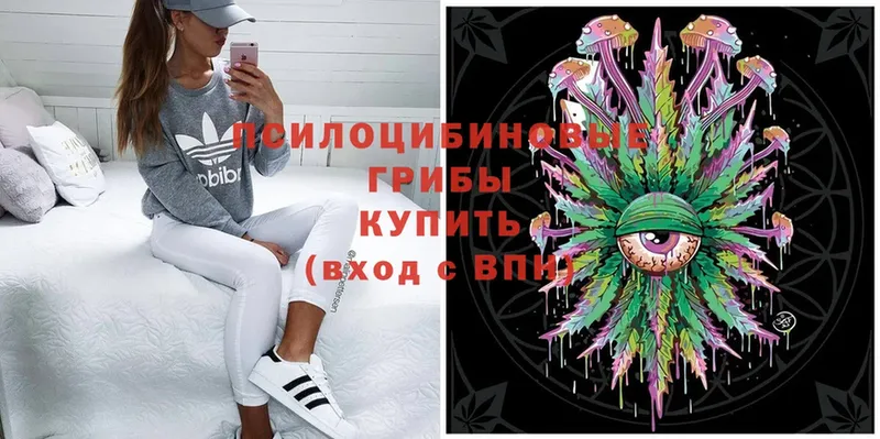 Псилоцибиновые грибы Cubensis  shop какой сайт  Переславль-Залесский 